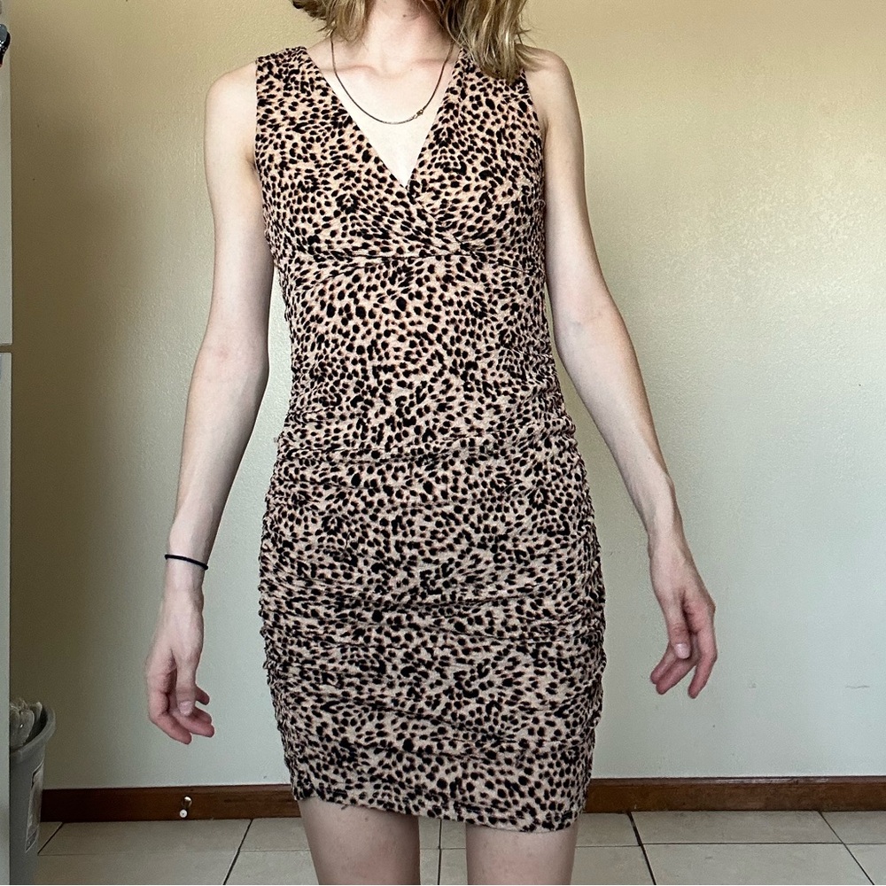 Small Leopard print dress from Nordstrom/brand is Leith